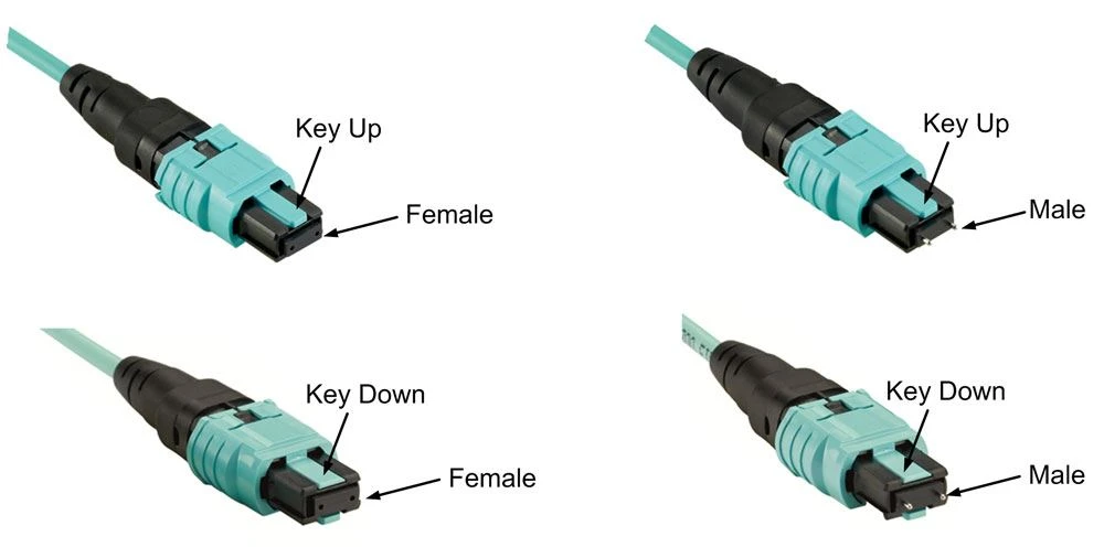 Male and female MPO or MTP connector Male and female MPO or MTP connector
