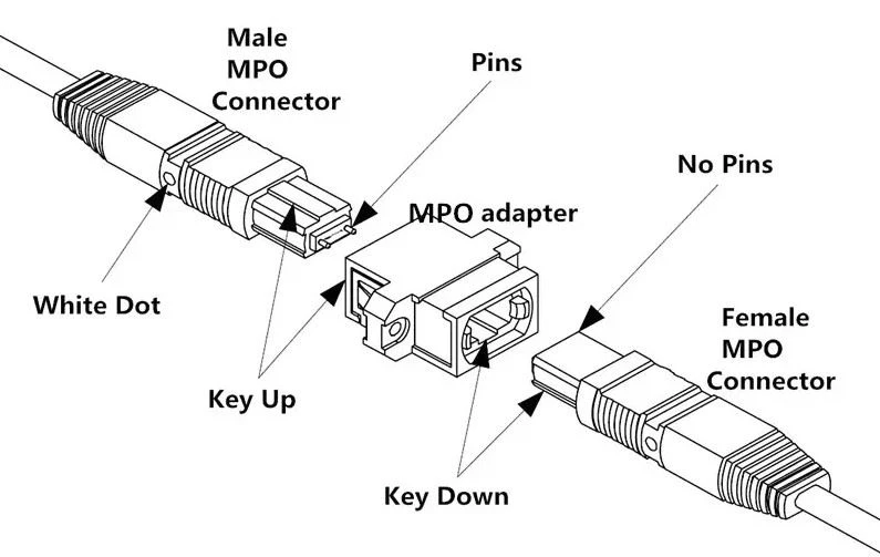 Connection Rule for MPO cable