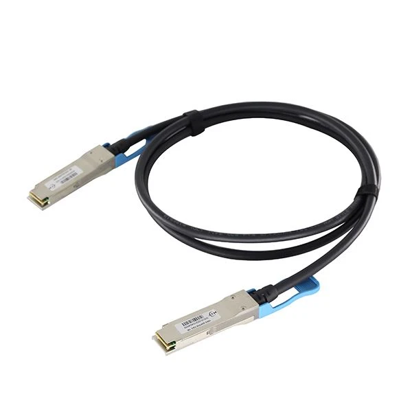 100G DAC 1M 2