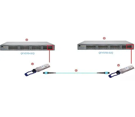 এমপিও প্যাচ কর্ডের সাহায্যে 2 জুনিপার কিউএফএক্স 5110-32Q এ 2 পিসি 100 জি এসআর...