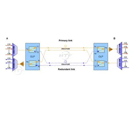 ওএলপি 1 + 1 অপটিকাল লাইন সুরক্ষা সমাধান