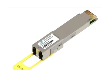 OTN 800G অপটিক্যাল ট্রান্সমিশন সামঞ্জস্যপূর্ণ